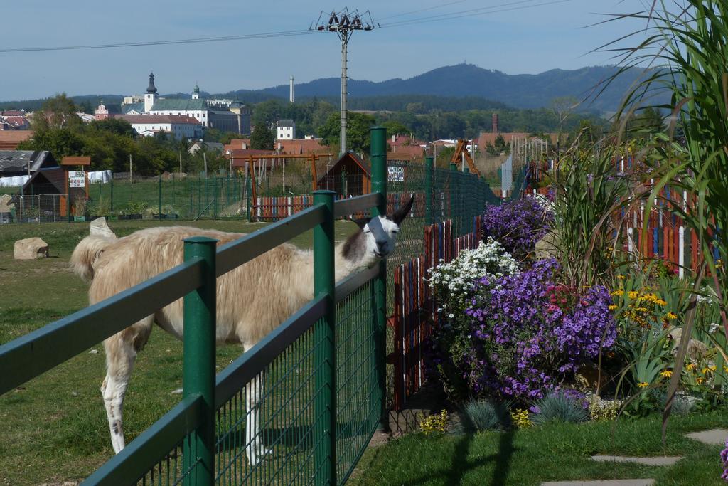 Farma Wenet Villa Broumov Dış mekan fotoğraf