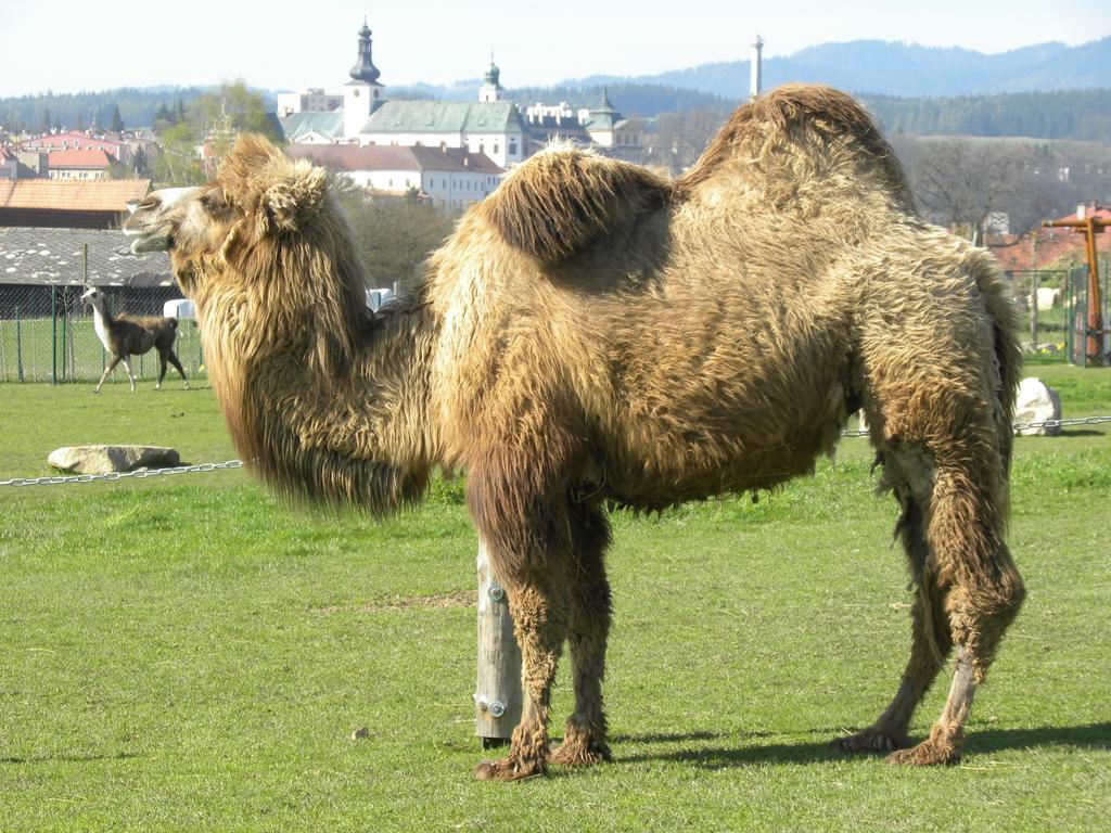 Farma Wenet Villa Broumov Dış mekan fotoğraf