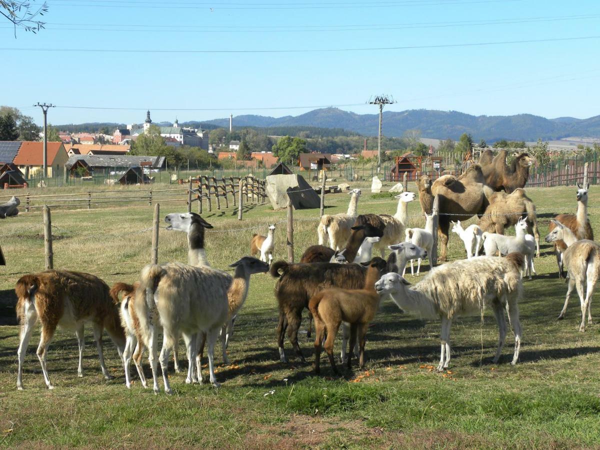 Farma Wenet Villa Broumov Dış mekan fotoğraf